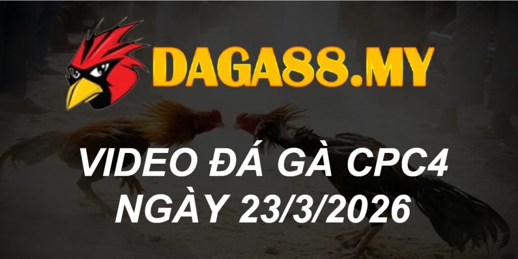 VIDEO GÀ CPC4 NGÀY 23/3/2026